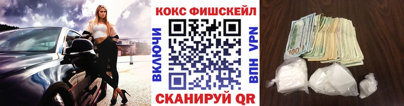 COCAIN Fish Scale  Купить закладки  Гремячинск 