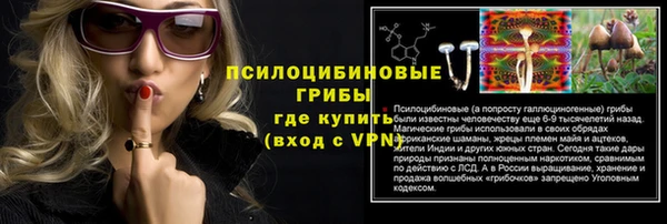 дживик Киренск