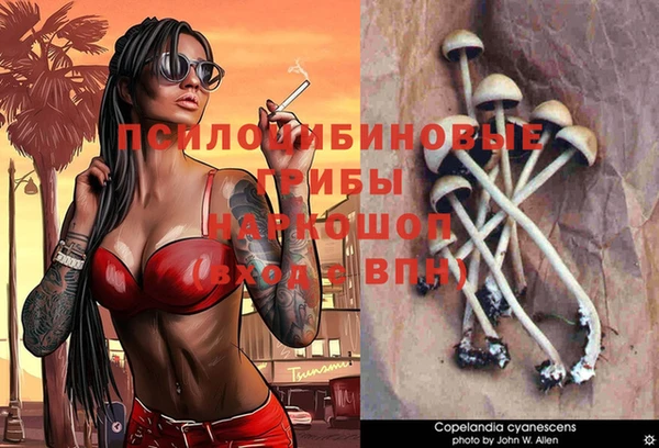 мдпв Кинешма