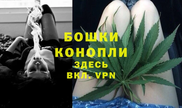 дживик Киренск