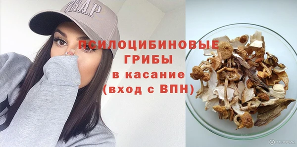 дживик Киренск