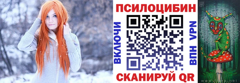 Купить закладки Гремячинск Псилоцибиновые грибы Psilocybe